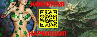 шишки Бузулук