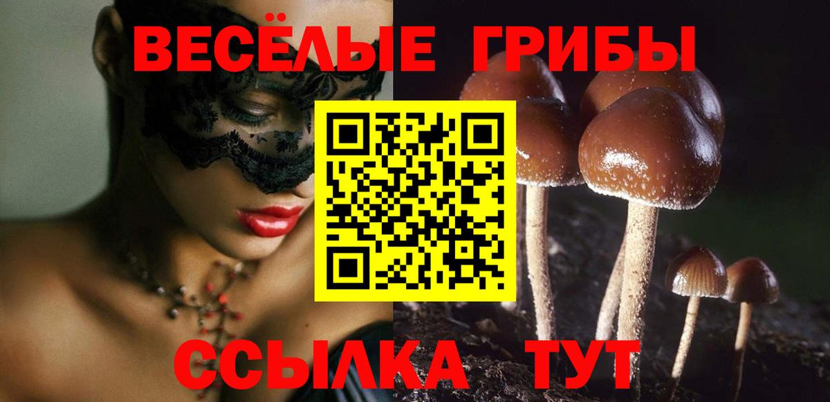 Геленджик  Псилоцибиновые грибы Psilocybine cubensis  Вход с VPN 