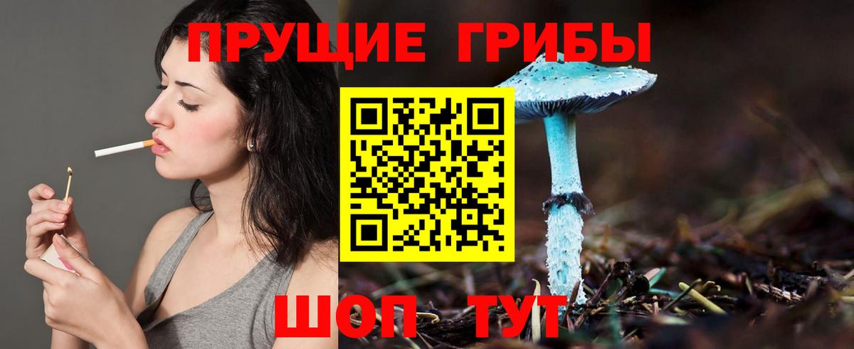 Галлюциногенные грибы мухоморы Геленджик